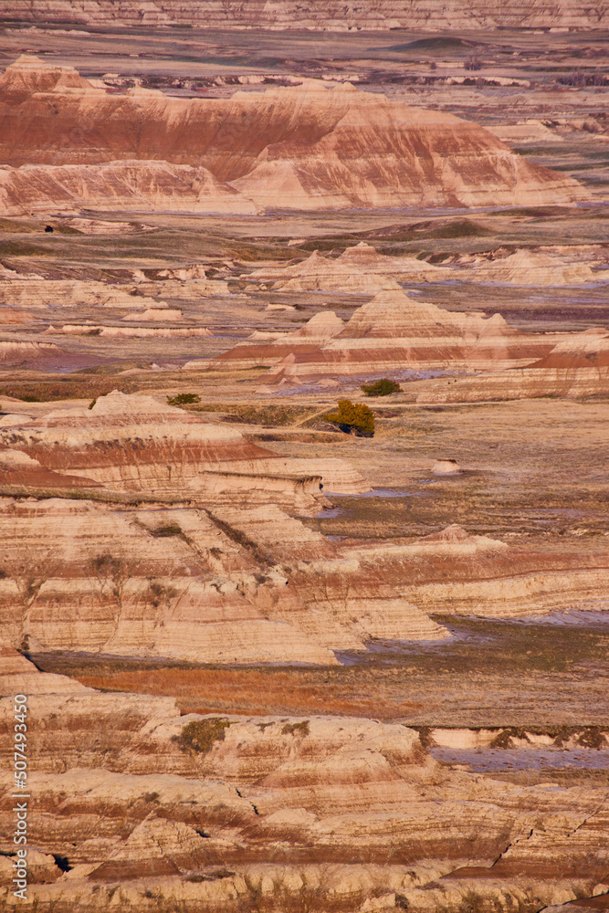 Fototapeta premium Endless layers of colorful sediment layers overlooking Badlands