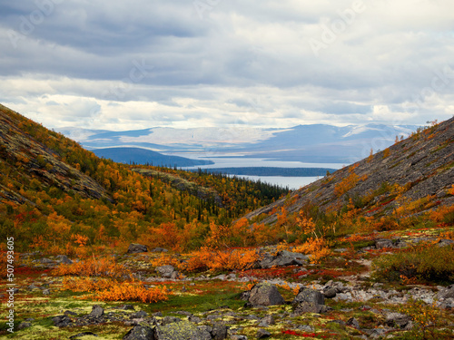 Fototapeta Naklejka Na Ścianę i Meble -  North Russia Khibiny mountains in autumn mountain lake and forest. Murmansk region