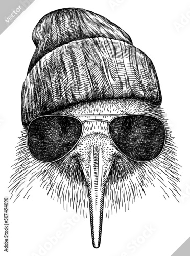 Fotografiet black and white engrave isolated Kiwi bird vector illustration