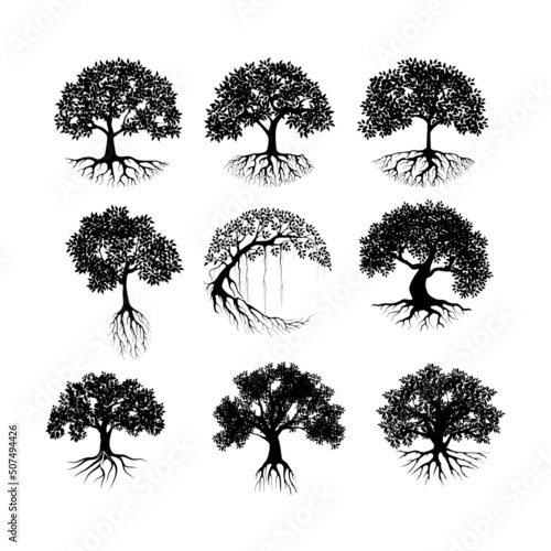 Collection mangrove tree vector silhouette, black and white colors