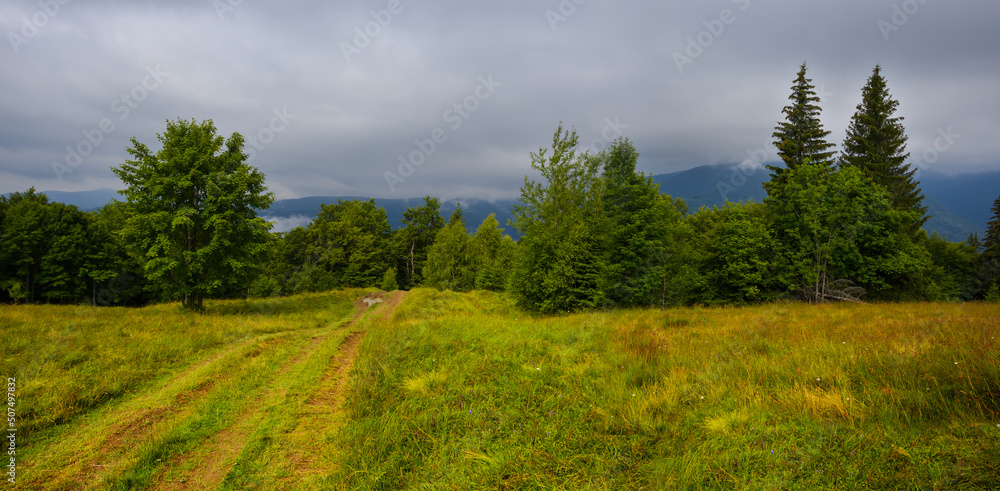 green mountain valley in dense mist and clouds green mountain valley in dense mist and clouds
