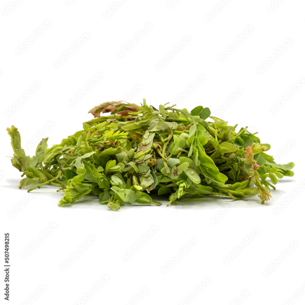 Heap of Tamarind leaves isolated on white background. Spot focus Heap of Tamarind leaves isolated on white background. Spot focus
