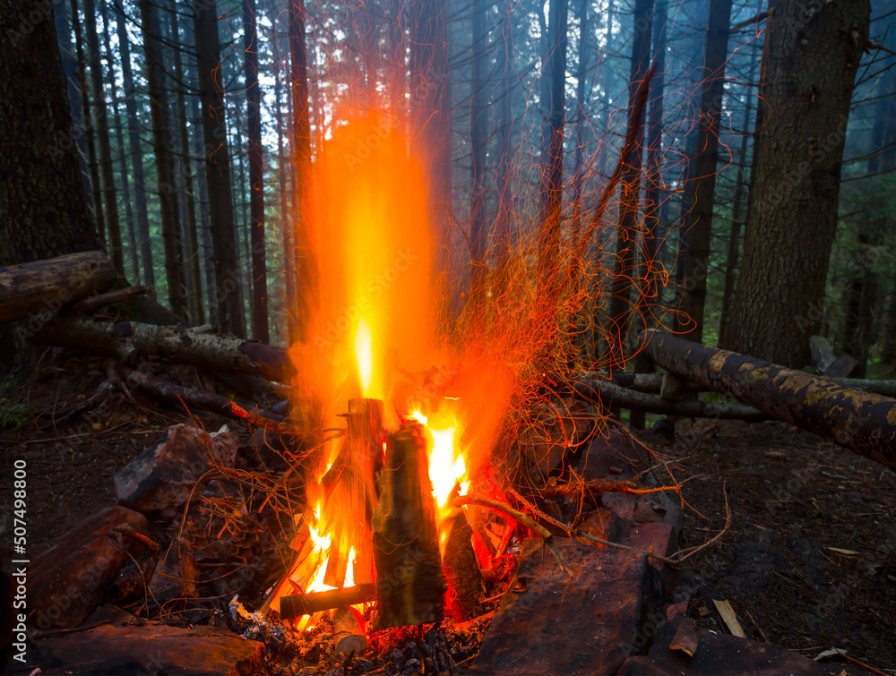 closeup camp fire in dark misty forest, natural travel background closeup camp fire in dark misty forest, natural travel background