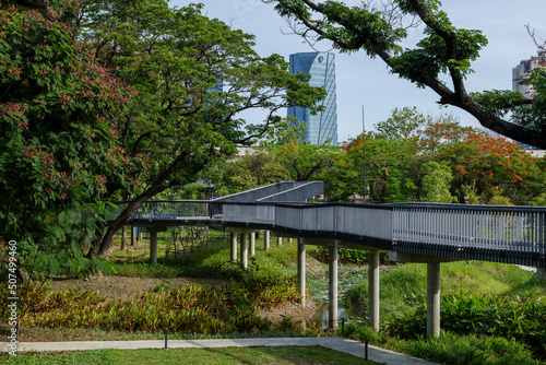 Outdoor sunny view of Benchakitti Forest Park, famous public park in Bangkok, Thailand. 