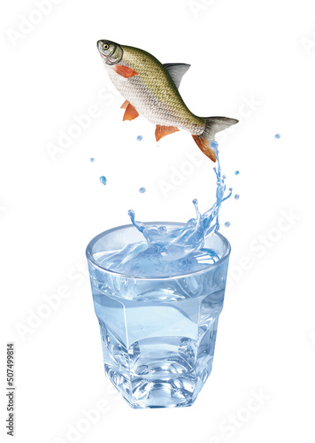 melonote  poisson    vasion  saut  eau  en verre  boire  clapoter  liquide  isol    froid  blanc  danger  boisson  glace  bouillonner  bleu    claboussure  frais  clair  abattre  verser  sain  transparen