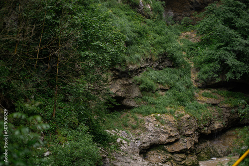 Mountain river after rains close-up. Journey through the forest area along the stream. Summer landscape.