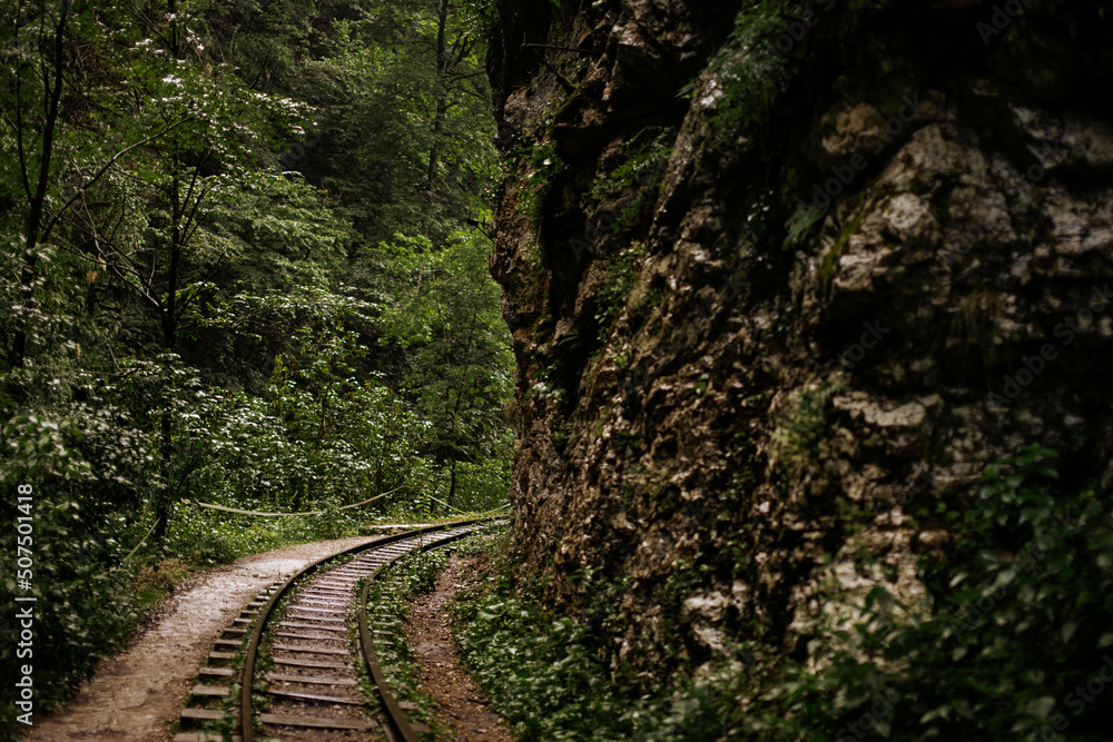 Fototapeta premium Fairy-tale landscape of abandoned rails laid along high mountains. Summer forest after the rain.