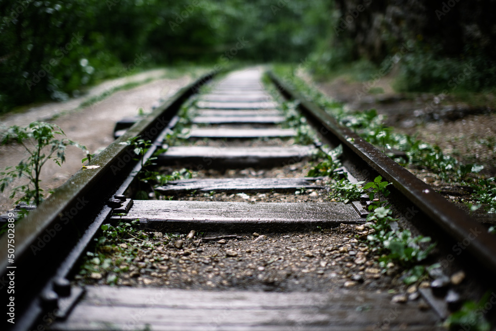 Fairy-tale landscape of abandoned rails laid along high mountains. Summer forest after the rain. Fairy-tale landscape of abandoned rails laid along high mountains. Summer forest after the rain.