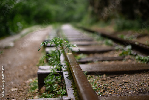 Fairy-tale landscape of abandoned rails laid along high mountains. Summer forest after the rain.