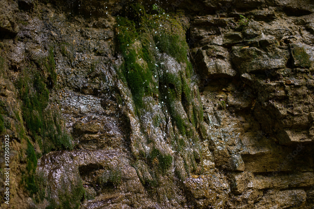 Wet moss and leaves on the rocks by the mountain river. Natural background close-up.
