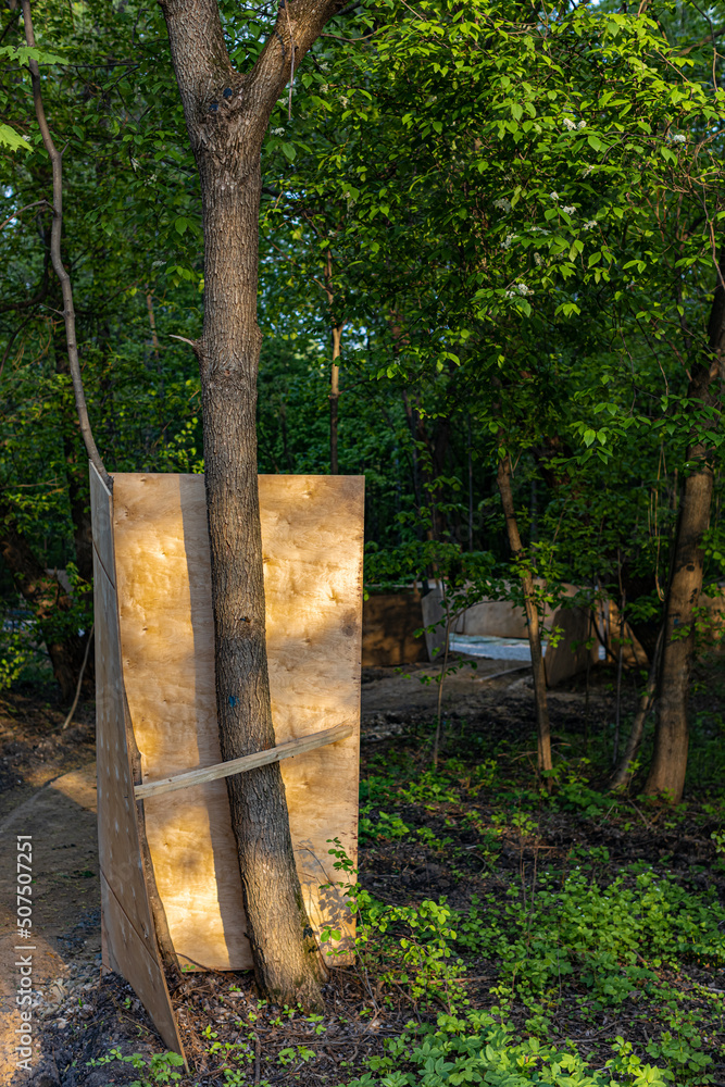 deciduous tree whose trunk is protected by a sheet of plywood deciduous tree whose trunk is protected by a sheet of plywood