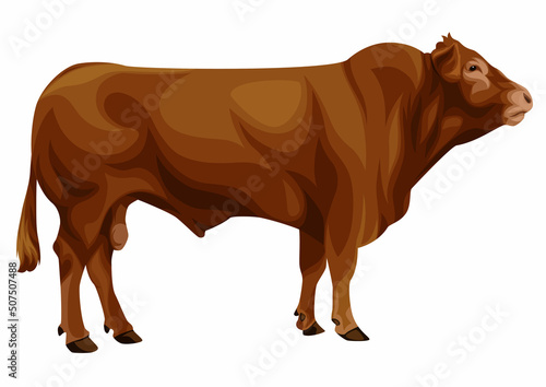 Deauville Limousin Breeder Illustration