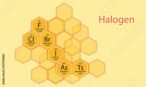 Halogen. periodical system. subgroup of halogens. Vector illustration. Fluorine, chlorine, iodine, astatine, tennessine. Group 17.