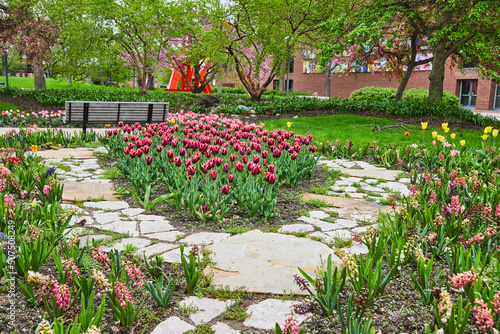 City park with stone walking path through spring tulip gardens