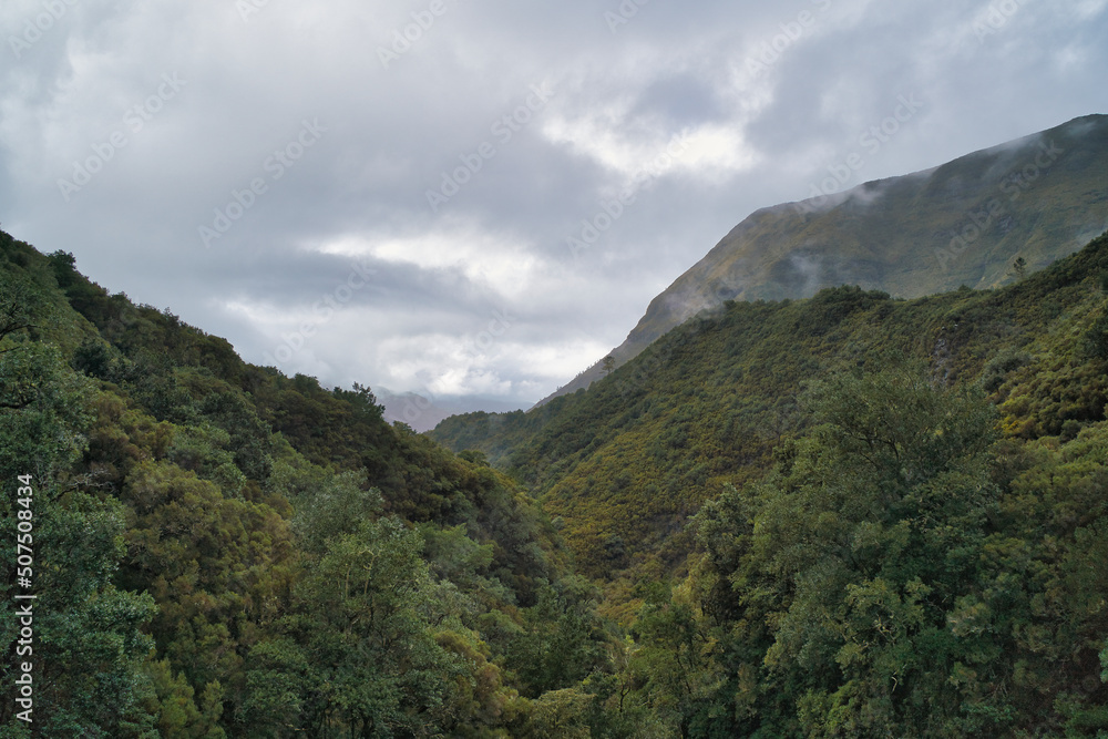 forest landscape in Madeira Portugal with clouds