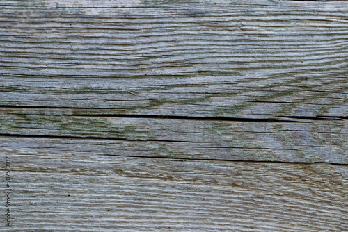 Background texture of old wood.Wood background