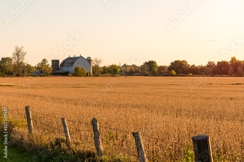 Old barn at the far edge of a cultivated field at sunset in autumn photo