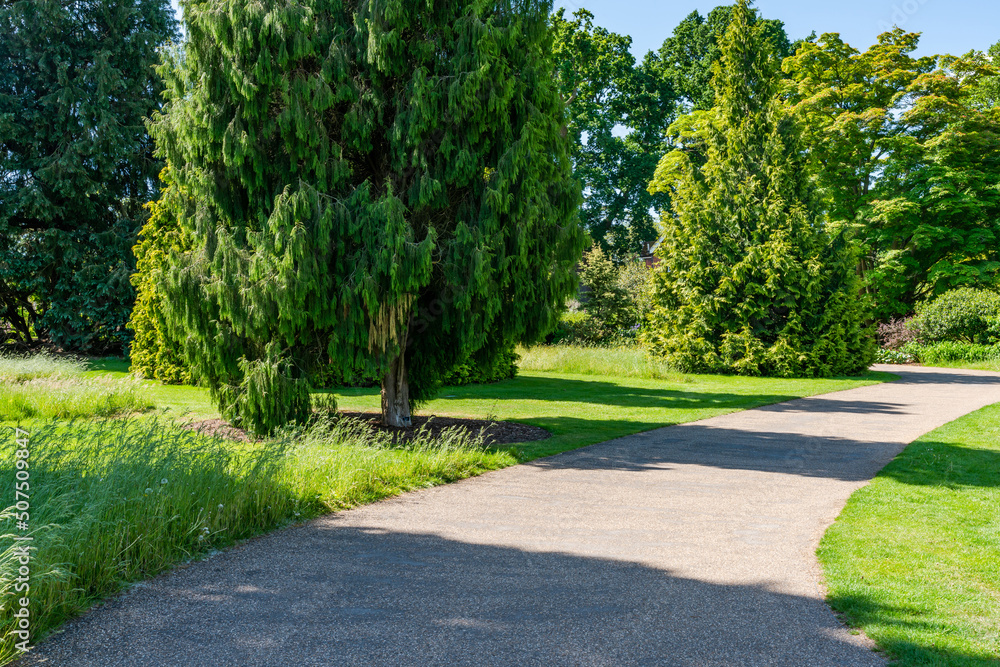 Obraz premium A path through a park