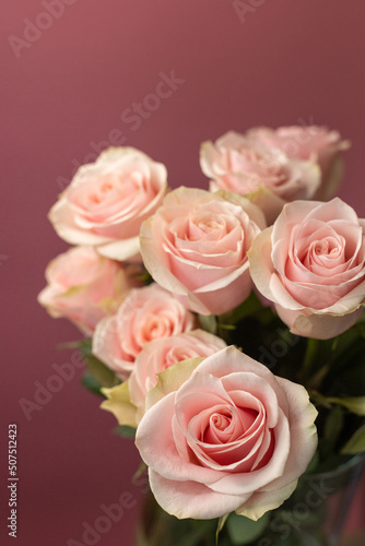 Bouquet of tea roses on a pink background