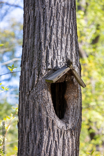 birdhouse on a tree
