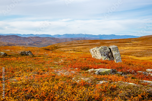 Fall season on the Finnmark Plateau, Arctic Norway 