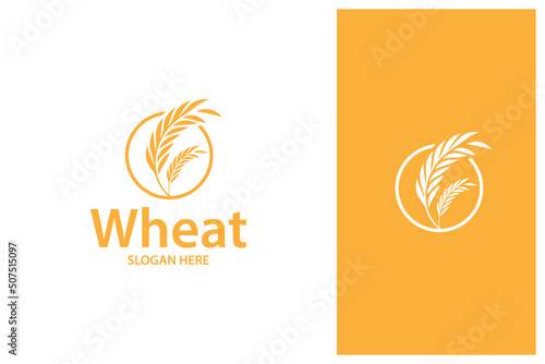 simple minimal wheat grain logo design vector
