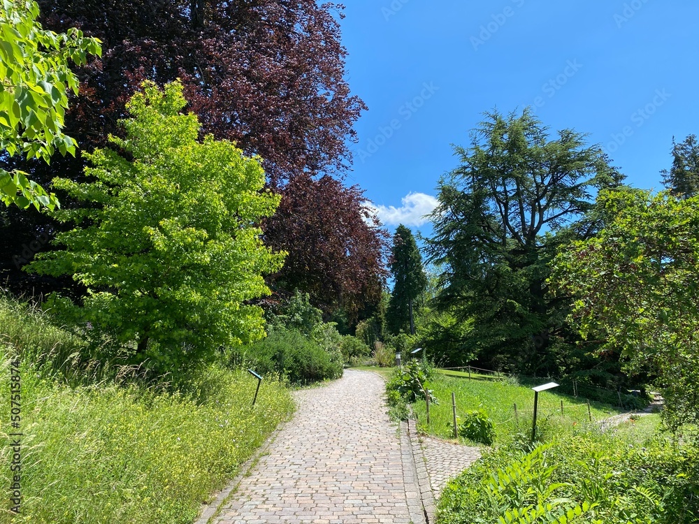 The Botanical Garden of the University of Zurich or Botanischer Garten der Universität Zürich (Botanischer Garten der Universitat Zurich - Botanischer Garten der Universitaet Zuerich), Switzerland The Botanical Garden of the University of Zurich or Botanischer Garten der Universität Zürich (Botanischer Garten der Universitat Zurich - Botanischer Garten der Universitaet Zuerich), Switzerland