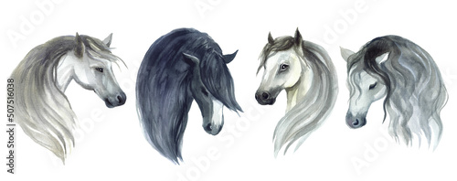 Watercolor horse art. sketching horse style. Champion design element. Farm horse, brown horse, sketch, wild portrait, mamma speed, arabian, stallion, farm mustang, hand drawn paint. photo