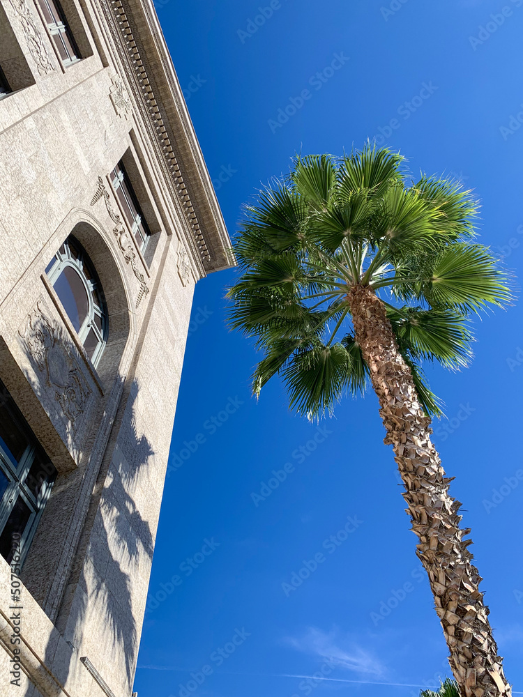 Pasadena, California, architecture, stylish building on the street against the backdrop of a palm tree