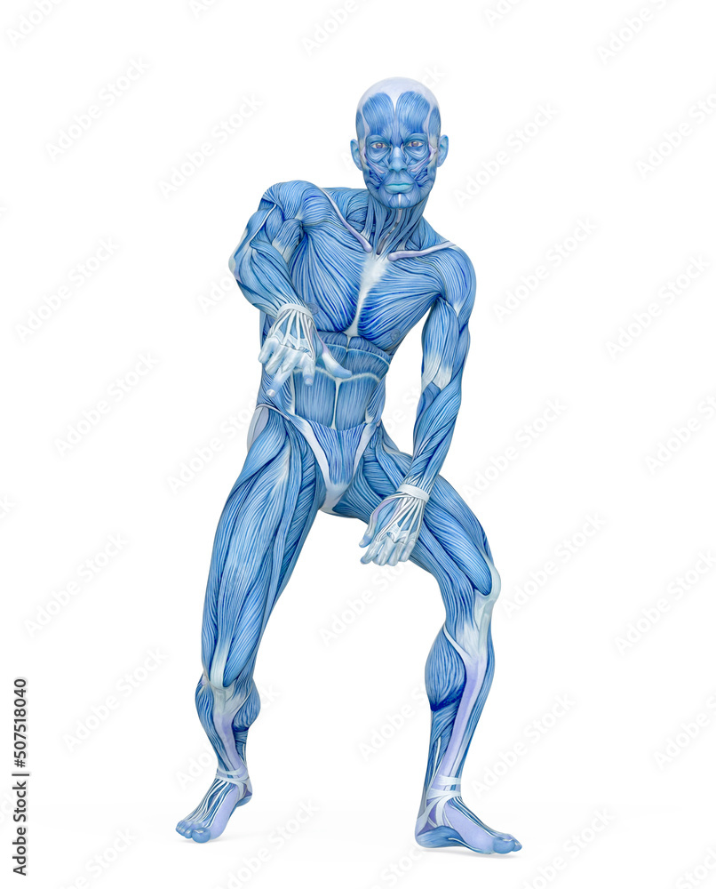 average man muscle maps is doing a hiphop pose average man muscle maps is doing a hiphop pose