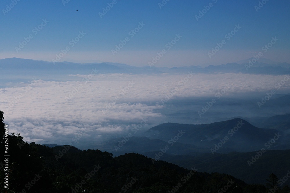 Obraz premium landscape with fog