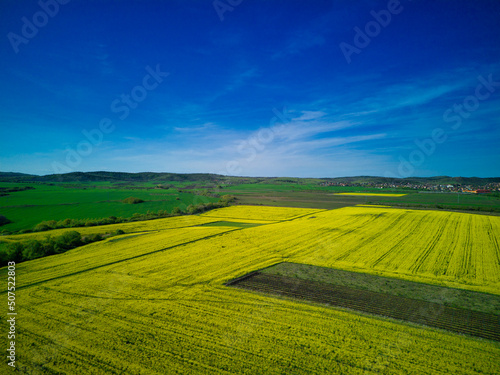 Fields with a plant in a valley against the background of the village and the sky in Bulgaria
