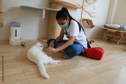 Child girl playing with white cat, Cat enjoy being played.