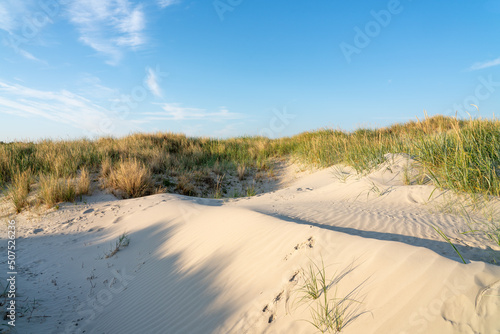 Fototapeta Naklejka Na Ścianę i Meble -  Dune beach in warm sunlight