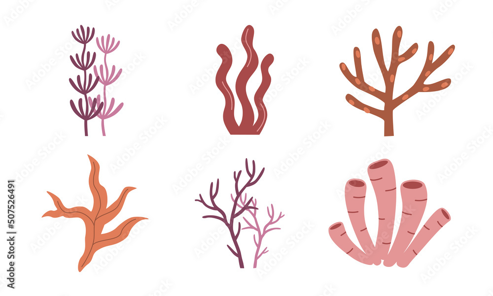 Hand drawn cute cartoon illustration floral set with seaweed. Flat vector nautical, sea alga concept in colored doodle style. Ocean plant sticker, icon or print design. Isolated on white background. Hand drawn cute cartoon illustration floral set with seaweed. Flat vector nautical, sea alga concept in colored doodle style. Ocean plant sticker, icon or print design. Isolated on white background.