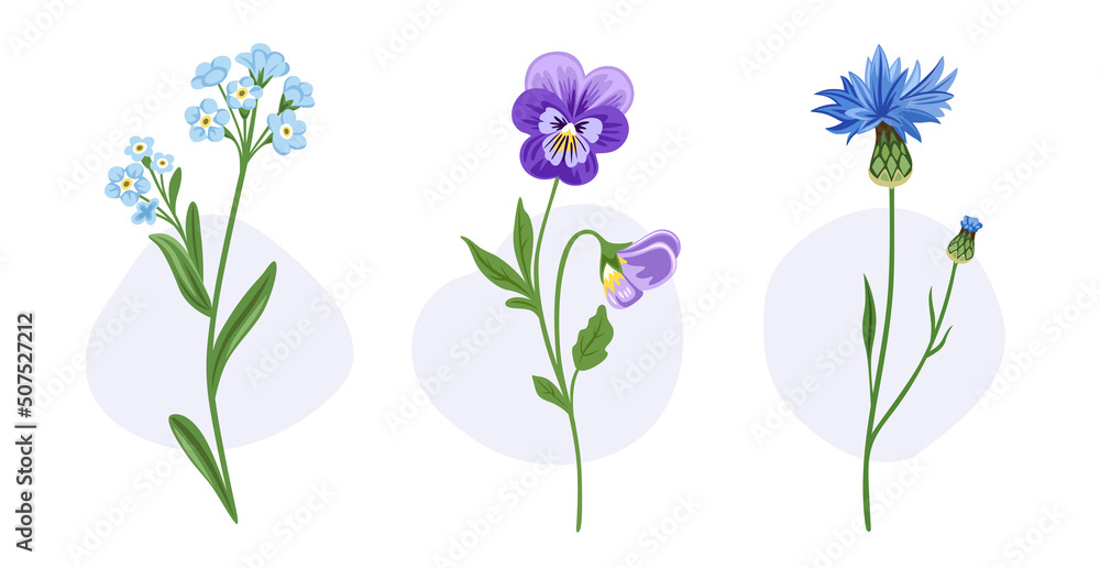 Forget-me-not, cornflower, pansy blooming flowers. Wild plants. Botanical decorative spring elements. Hand drawn flat illustrations, isolated on white background.