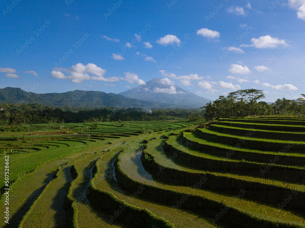 Terraced Rice field with mountain views in the background. The weather is foggy in sunrise time. It located in Kajoran Village, Magelang, Central Java