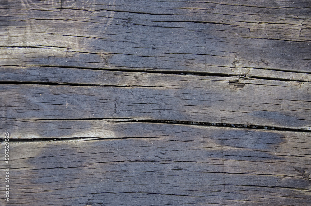 Autumn wooden background. A perfect rustic and grunge wallpaper for your products.
Autumn wooden background. A perfect rustic and grunge wallpaper for your products.