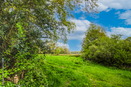 Landscape in spring with green meadows and wooded banks in the stream valley of Scheebroekerloop near the village of Anderen in the Dutch province of Drenthe against a sky with cumulus clouds photo