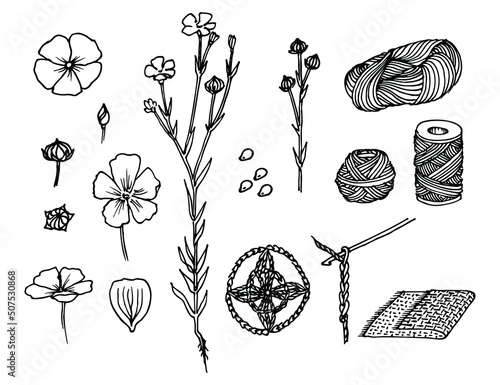 Flax flower. Linen plant, seeds, fabric and threads element set sketch.  Black and white vector clipart. Realistic flax floral freehand drawing with ink pen.