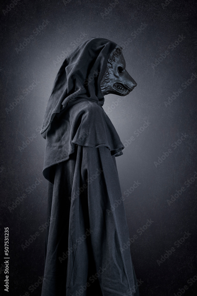 Wolf in hooded cloak at night over dark misty background Wolf in hooded cloak at night over dark misty background