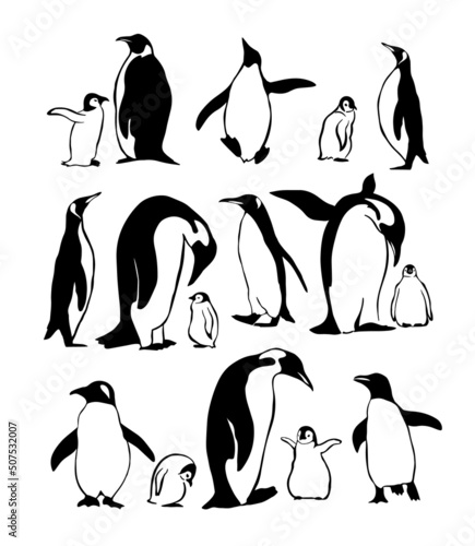 Set of penguins. Vector illustration