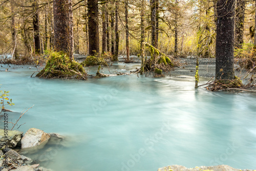 Bright blue glacial river running through mossy green forest