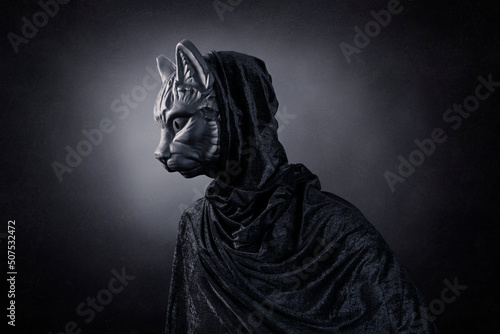 Black cat in hooded cloak at night over dark misty background