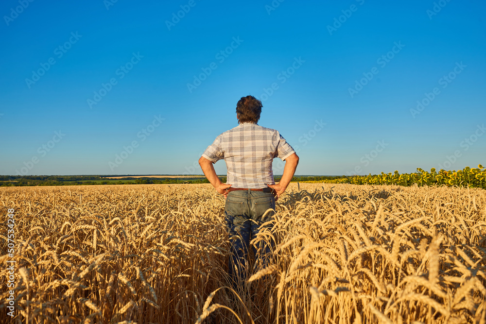 farmer standing in a wheat field farmer standing in a wheat field