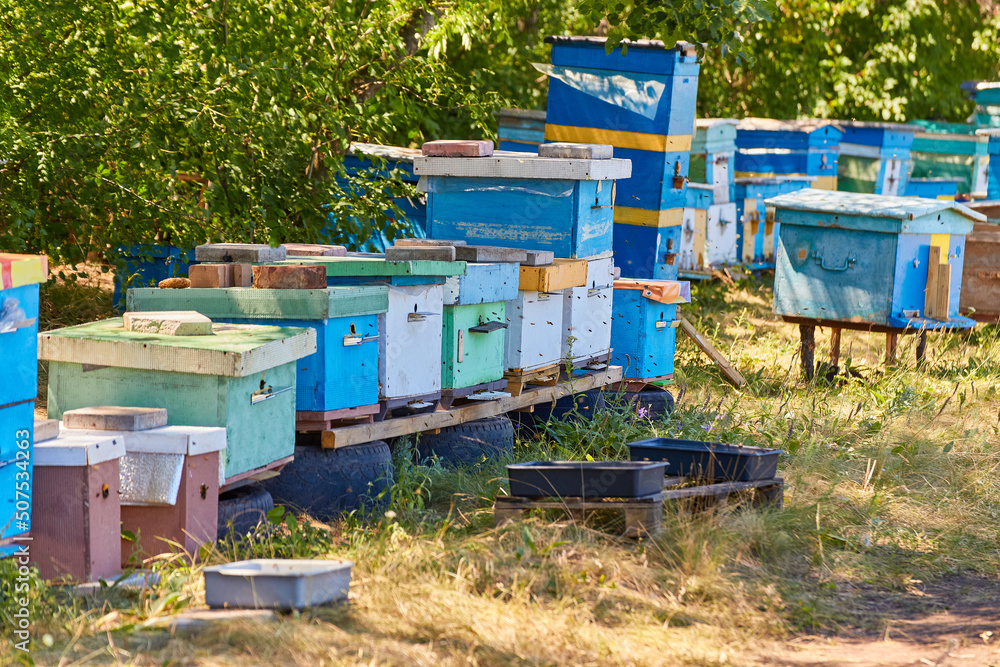 house Bee evidence stands in a row greenery of trees on sunny day. house Bee evidence stands in a row greenery of trees on sunny day.