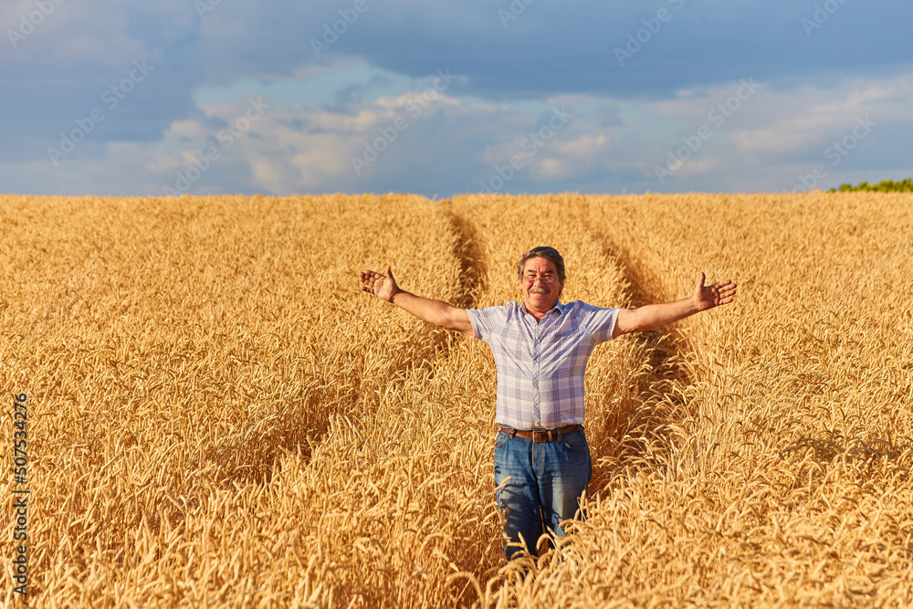 farmer standing in a wheat field farmer standing in a wheat field