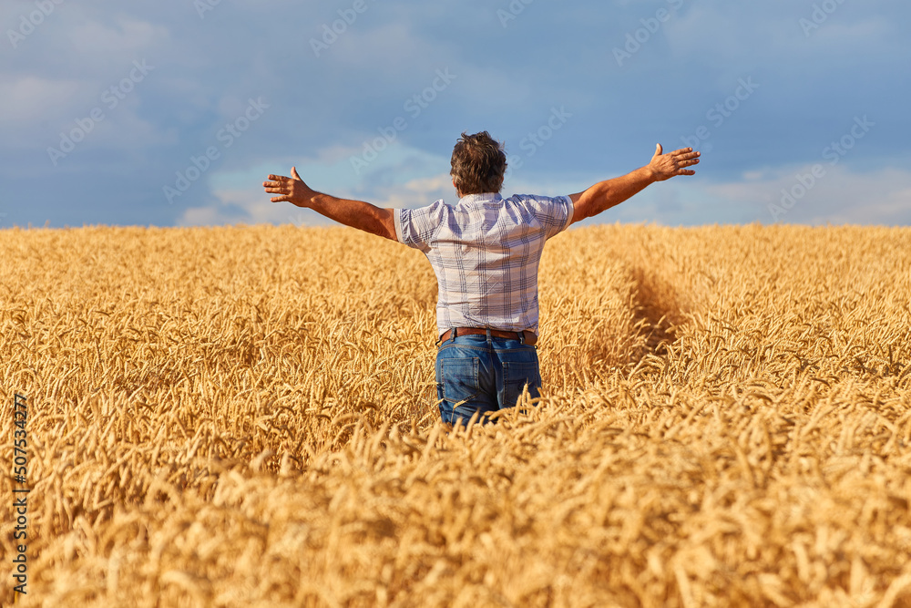 An adult man in a farm field among ripe cereals and raised his arms to the sides. An adult man in a farm field among ripe cereals and raised his arms to the sides.