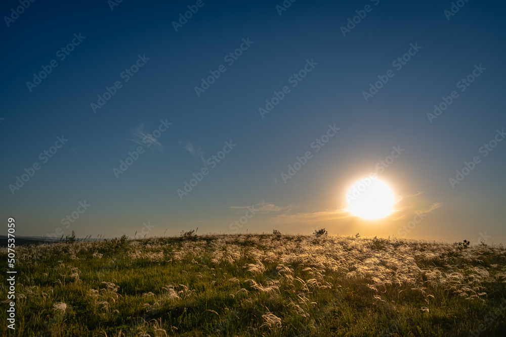 Obraz premium The sun sets behind a hill with a feather grass.