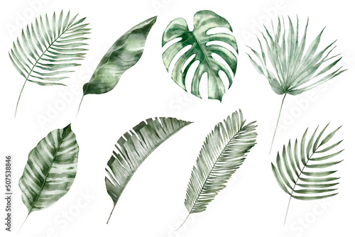 Billede på lærred Watercolor tropical illustration set: botanical leaves